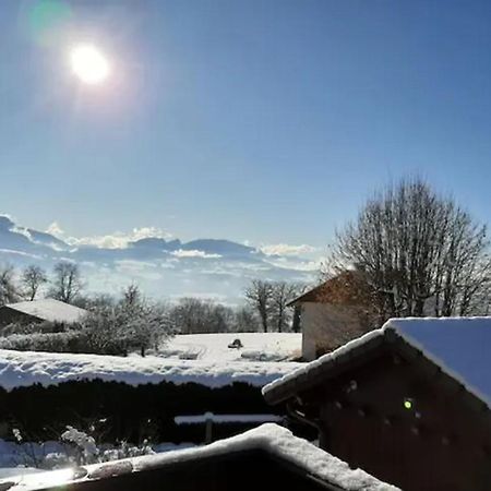 5 Min Des Pistes De Ski Grand Studio Mezzanine Viuz-en-Sallaz エクステリア 写真