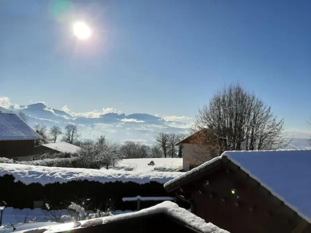 5 Min Des Pistes De Ski Grand Studio Mezzanine Viuz-en-Sallaz エクステリア 写真