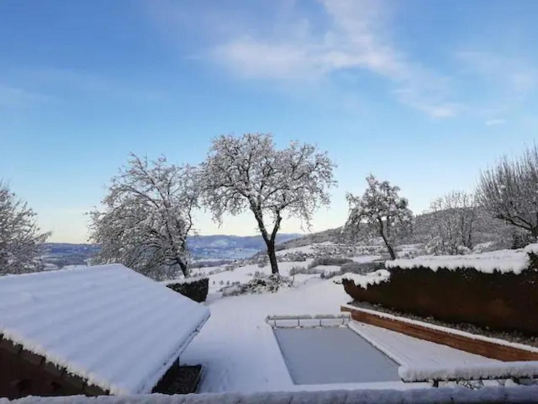 5 Min Des Pistes De Ski Grand Studio Mezzanine Viuz-en-Sallaz エクステリア 写真