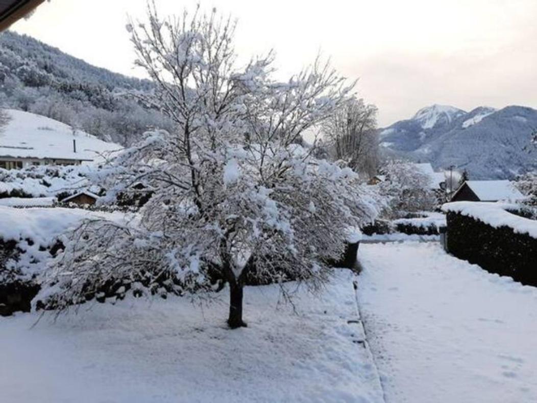 5 Min Des Pistes De Ski Grand Studio Mezzanine Viuz-en-Sallaz エクステリア 写真